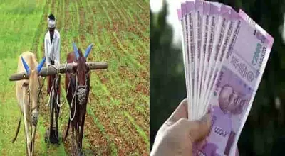 pm kisaan  மத்திய அரசு வழங்கும் ரூ 6000 வரவில்லையா     வரும் 23 ம் தேதி சிறப்பு முகாம்  