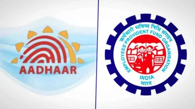 epfo பயனர்களே     இப்படி கூட uan ஐ ஆக்டிவேட் செய்யலாமா    ஆதார் கார்டு இருந்தால் போதும்    