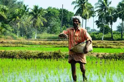 விவசாயிகளே இனி கவலை வேண்டாம்     நடைமுறைக்கு வரும் மத்திய அரசின் மாஸ் திட்டம்    