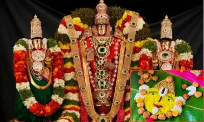 தீராத நோய்  திருமணத்தடைக்கு காரணமே இதுதான்     புரட்டாசியில் இதை செய்தால் அனைத்து நீங்கும்    