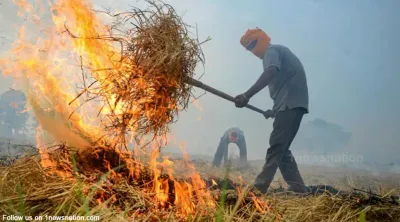 விவசாய கழிவுகள் எரிப்பு அபராதம் இரண்டு மடங்காக உயர்வு       உச்ச நீதிமன்ற விமர்சனத்தை தொடர்ந்து அதிரடி