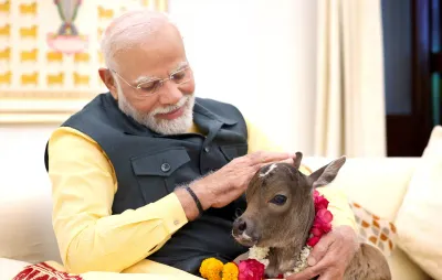 வீட்டிற்கு வந்த புது விருந்தினர்     கொஞ்சி விளையாடும் பிரதமர் மோடி     வைரலாகும் வீடியோ    