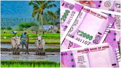 இயற்கை விவசாயிகளே மிஸ் பண்ணிடாதீங்க     ரூ 40 000 முதல் ரூ 1 00 000 வரை     தமிழ்நாடு அரசு சூப்பர் அறிவிப்பு    