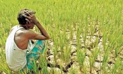 இப்படி ஒரு விநோத கிராமமா    எப்படித்தான் மக்கள் வாழ்கிறார்கள்    சுவாரஸ்ய தகவல்    