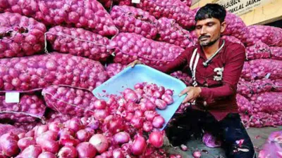 வெங்காய விலை உயர்வுக்கு என்ன காரணம்  எப்போது விலை குறையும்  