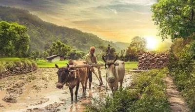 விவசாயிகளுக்கு செம குட் நியூஸ்     இனி அடங்கல் விவரங்களை வீட்டிலிருந்தே பார்த்துக் கொள்ளலாம்     வெளியான அறிவிப்பு    