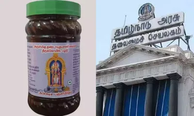 பஞ்சாமிர்தத்தில் மாட்டுக் கொழுப்பு   வதந்திகளுக்கு முற்றுப்புள்ளி வைத்த தமிழக அரசு    