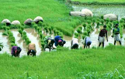 விவசாயிகளே செம குட் நியூஸ்     இனி உங்கள் நிலத்திற்கு ஆதாரம் இதுதான்    