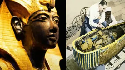 egypt   100 ஆண்டுகால மர்மத்திற்கு தீர்வு கண்ட விஞ்ஞானி    மன்னர்களின் சாபத்திற்கு பதில் என்ன   விரிவான அறிக்கை   