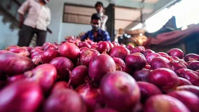 வெங்காயம் விலை உயர்வு எதிரொலி   இனி கவலை வேண்டாம்   மத்திய அரசு அதிரடி முடிவு  