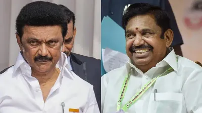 2026இல் நம்ம தான்     பூவை தேடி தேனீக்கள் வருவது போல அதிமுகவை தேடி கூட்டணி கட்சிகள் வரும்     எடப்பாடி பழனிசாமி பேச்சு    