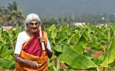 வேளாண் துறையில் முன்னோடி     கடைசி வரை இயற்கை விவசாயம்     பத்மஸ்ரீ விருது பெற்ற பாப்பம்மாள் பாட்டி    