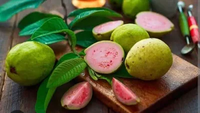guava  தினமும் கொய்யா இலைகளை சாப்பிட்டால்   இந்த நோய்கள் கண்டிப்பாக வராது   