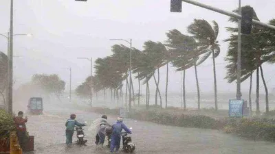 cyclone fengal   தமிழகத்தை மிரட்டும் ஃபெங்கல் புயல்   எந்த நாடு பெயர் வைத்தது  புயலுக்கு பெயர் வைப்பத்தில் இவ்வளவு விஷயம் இருக்கா 