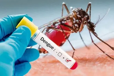 மீண்டும் வேகமெடுத்த dengue பரவல் … அவசரநிலை பிரகடனம்  அறிவித்த நாடு 